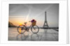 Bicycle and Eiffel tower by Assaf Frank